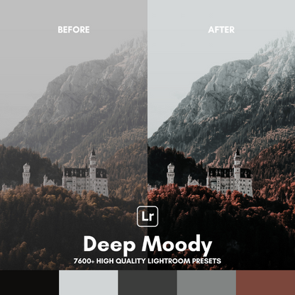 Complete Bundle | 7600 Lightroom Presets + eBook