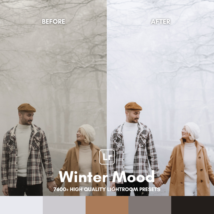 Complete Bundle | 7600 Lightroom Presets + eBook