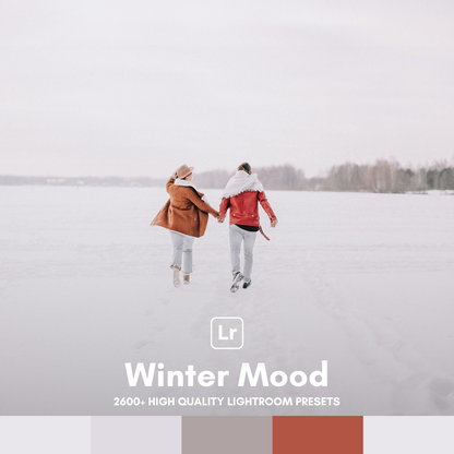 Winter Mood | Lightroom Preset Pack