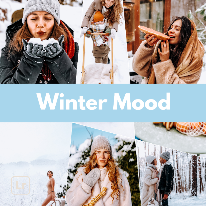 Complete Bundle | 7600 Lightroom Presets + eBook